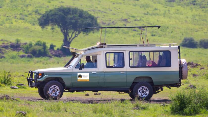 Luxury Safari